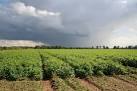 Black o'er Jack's house. The traditional Lincolnshire comment for dark rain - via Daymix
