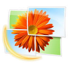 Windows Live Photo Gallery 15.4.3555.308