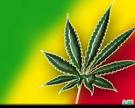 Imagenes De Marihuana