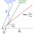 Enzyme Kinetics