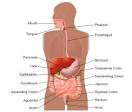 Irritable Bowel Syndrome (IBS) - Thomas Jefferson University Hospitals