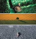 Yann Arthus-Bertrand