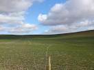 SU2932 : Broughton Down our very own Windows XP ? - via Daymix