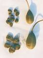 Spice Pages: Capers (Capparis spinosa)
