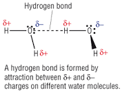 external image images?q=tbn:ANd9GcSAeFGENtqv-v8Povrzm7uVZo_cbEeBRP8ahcJLGpJY3rQKjj_LDgCHyMvF