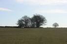 The walk was inaugurated by Kent County Council in 1991; a 15-mile route - via Daymix