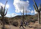 On the Tee: Accenture Match Play Championship - Golf, PGA Tour ...
