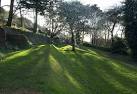 the widow of William Newcombe Homeyard, who invented Liquafruta cough - via Daymix