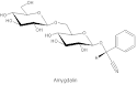 Definition of Amygdalin and the meanings Amygdalin - The Meanings