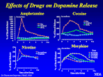 Nearly all drugs of abuse increase dopamine neurotransmission ...