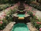 Morcom Rose Garden | GardenVisit.com, the garden landscape guide