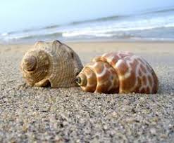 ����� ������ .. ��� ����� ����� 