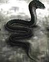 Basilisk - Harry Potter Wiki