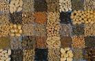 Add <b>seeds</b> to your favorite