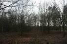 Woodland near Delaware Farm - via Daymix
