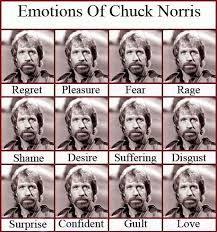 The Steven Seagal Emotion Chart  Images?q=tbn:ANd9GcSC8i13TKegPol0c8yJe1HRwHzhoKVh7OgzniRq9Q_E9sEg9beHYQ