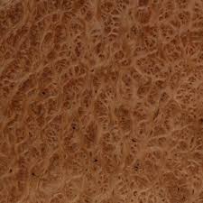 images?q=tbn:ANd9GcSCAVaJa-QOwVL-154NfGHzKfw8_LPRC2bFqSaTj3Eu04khLxK0Xw