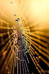 50 Most Popular Photographs on Deviantart | Creativeoverflow