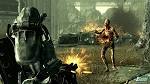 fallout