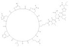 Knowledge base Browser - Bacitracin