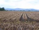 That much used chemical, Sulphuric acid has found yet another use, - via Daymix