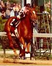 Affirmed Alydar Belmont Photo