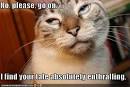 http://cdn.backyardchickens.com/4/45/4548d9e6_hacker-omg-funny-pictures-.jpeg