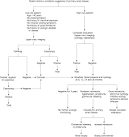 Asymptomatic Microscopic Hematuria in Adults: Summary of the AUA ...