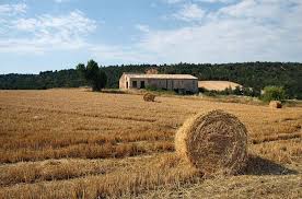 http://t3.gstatic.com/images?q=tbn:ANd9GcSE0PuJwsWWBVwh_nIRHrjBNb7jYHyzG2mMeOToWRn_xIT_cL4mCQ