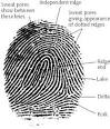 019852403x_fingerprints_1.jpg