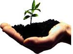 ENTREPRENEURS ARE MADE AND NOT BORN