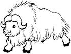 Buffalo coloring page