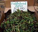 Seasonal Spotlight: Fiddlehead Ferns | The Kitchn