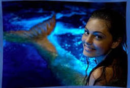 images?q=tbn:ANd9GcSELlbjPIR5_3QNXZB9X2THHVckszwSS6hAjuG7BSQo08kgJbjc6EADrQxz