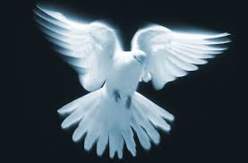 http://t3.gstatic.com/images?q=tbn:ANd9GcSEmyOx25R3dMT8dQnqbnGE1cMDZLhF6cxXoq4ZueGTV9v4bE2R