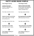 Essential Fatty Acids | The Food Advice Centre