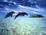 Delfines