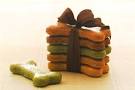 about us | Dog Birthday Cakes, Holiday Dog Treats by Kool Dog Kafe