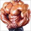 Anabolic Steroids | Bodybuilding Supplements