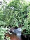 Wych Brook - three counties (and two countries) join - via Daymix