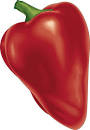 Chili pepper: Information from Answers.