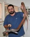 David Williams' Australian Herpetology ONLINE - Introduction