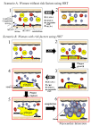 Role of <b>hormone replacement</b>