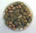 aflatoxin