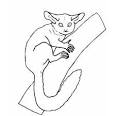 Lemur coloring page