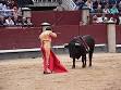 Toreros