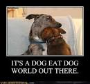 IT'S A DOG EAT DOG WORLD OUT THERE. - Very Demotivational - The ...