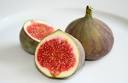 FIG Chef Forages for Food in Santa Monica : TreeHugger