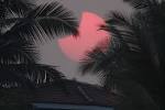 APOD: 2007 March 22 - Goa Silhouettes