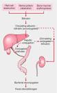 bilirubin - definition of bilirubin in the Medical dictionary - by ...